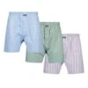 Thomas 3 Pack - Boxershort - Light Green Blue