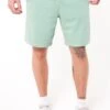 Sevan - Shorts - Light Green
